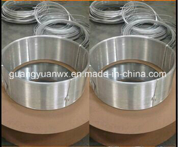 Aluminum Coil Tube 1070 1060 1050 1100 for Refriger Evaporator Condenser